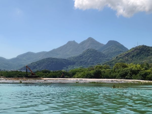 O paraíso recuperado: o manguezal dá sinais de vida na Lagoa da Tijuca, em processo de restauração promovido pela Iguá Saneamento