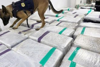 PRF apreende três toneladas de maconha em caminhão frigorífico na Dutra