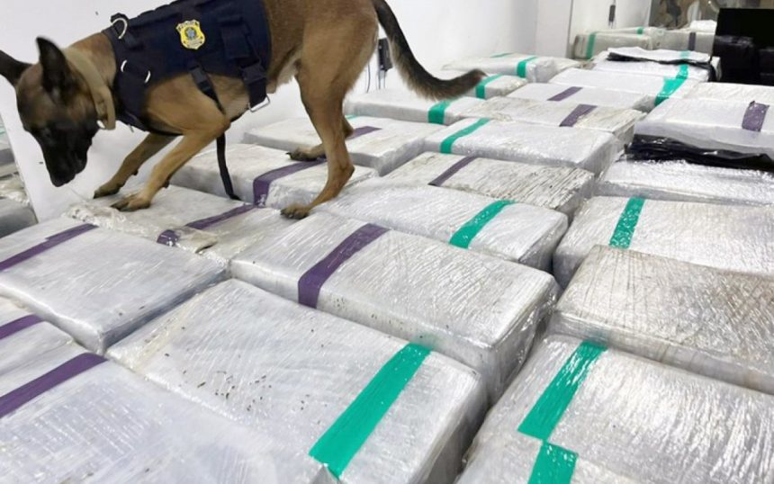 PRF apreende três toneladas de maconha em caminhão frigorífico na Dutra