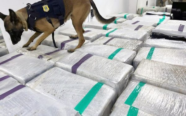 PRF apreende três toneladas de maconha em caminhão frigorífico na Dutra