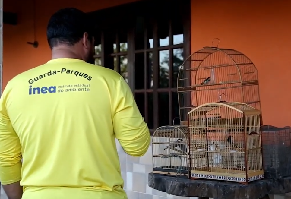 Polícia prende maior traficante de animais silvestres do Rio; 167 aves são resgatadas 62 Captura de tela 2025 05 09 105613