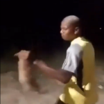 Polícia tenta encontrar homem que arremessou e matou cachorro em Nova Iguaçu