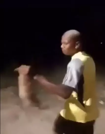 Polícia tenta encontrar homem que arremessou e matou cachorro em Nova Iguaçu