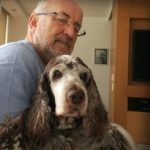 Alerj retoma discussão sobre o novo código de direito dos animais