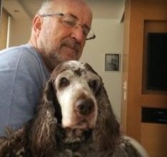 Alerj retoma discussão sobre o novo código de direito dos animais