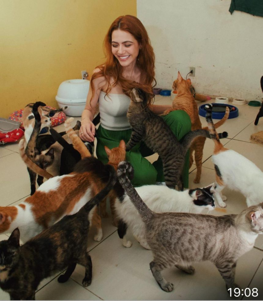 A deputada estadual Sarah Pôncio (SDD) vai à Teresópolis, neste sábado, lançar um programa para cães e gatos da cidade da Região Serrana