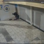 Sindicato dos Rodoviários de Niterói pedem mais policiamento nas ruas do centro