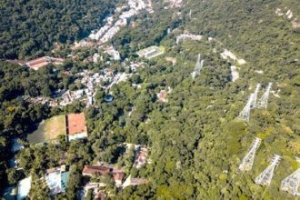 Jardim Botânico e favela do Horto selam acordo para permanência dos moradores