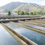 Cedae conclui manutenção no Guandu e água começa a ser retomada no Rio e na Baixada