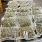 Passageiro vindo da Tailândia é preso no Galeão com R$ 900 mil em drogas