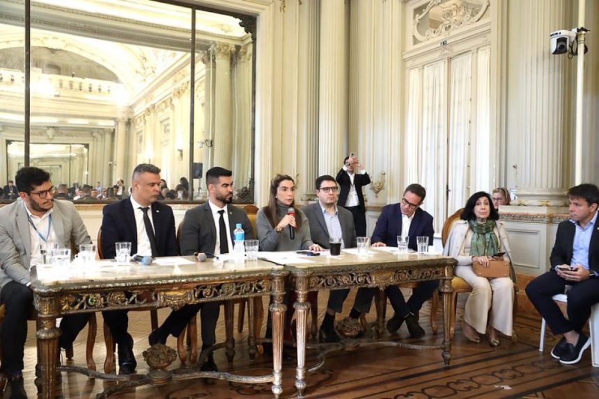 Câmara cria comissão especial para discutir infestação de borrachudos no Rio