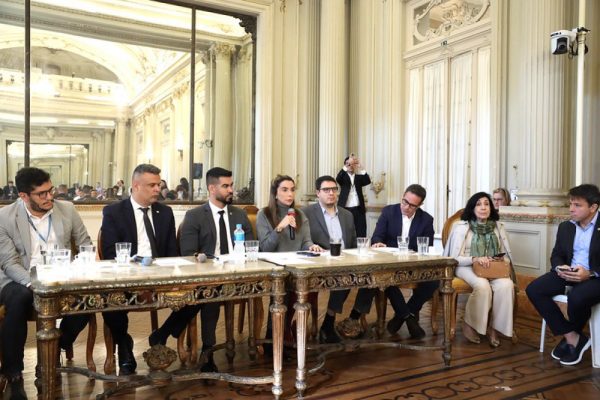 Câmara cria comissão especial para discutir infestação de borrachudos no Rio