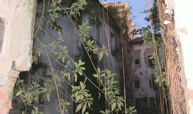 Depósito clandestino e insalubre é encontrado na antiga Casa de Saúde São Sebastião 62 Captura de tela 2025 06 04 095056