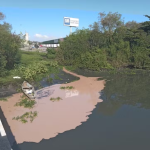 Vazamento de óleo no rio Sarapuí preocupa ambientalistas e pescadores