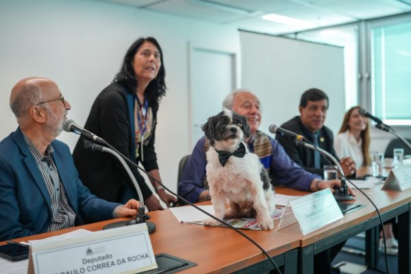 Código de Direito dos Animais vai listar uma série de maus tratos; saiba quais 48 Código de Direito dos Animais vai listar uma série de maus tratos; saiba quais