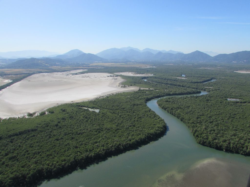 Prefeitura lança plataforma para monitorar o plano de conservação da Mata Atlântica