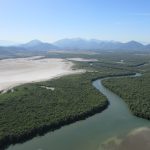 Prefeitura lança plataforma para monitorar o plano de conservação da Mata Atlântica