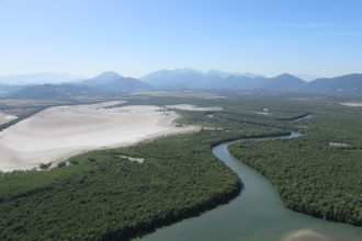 Prefeitura lança plataforma para monitorar o plano de conservação da Mata Atlântica