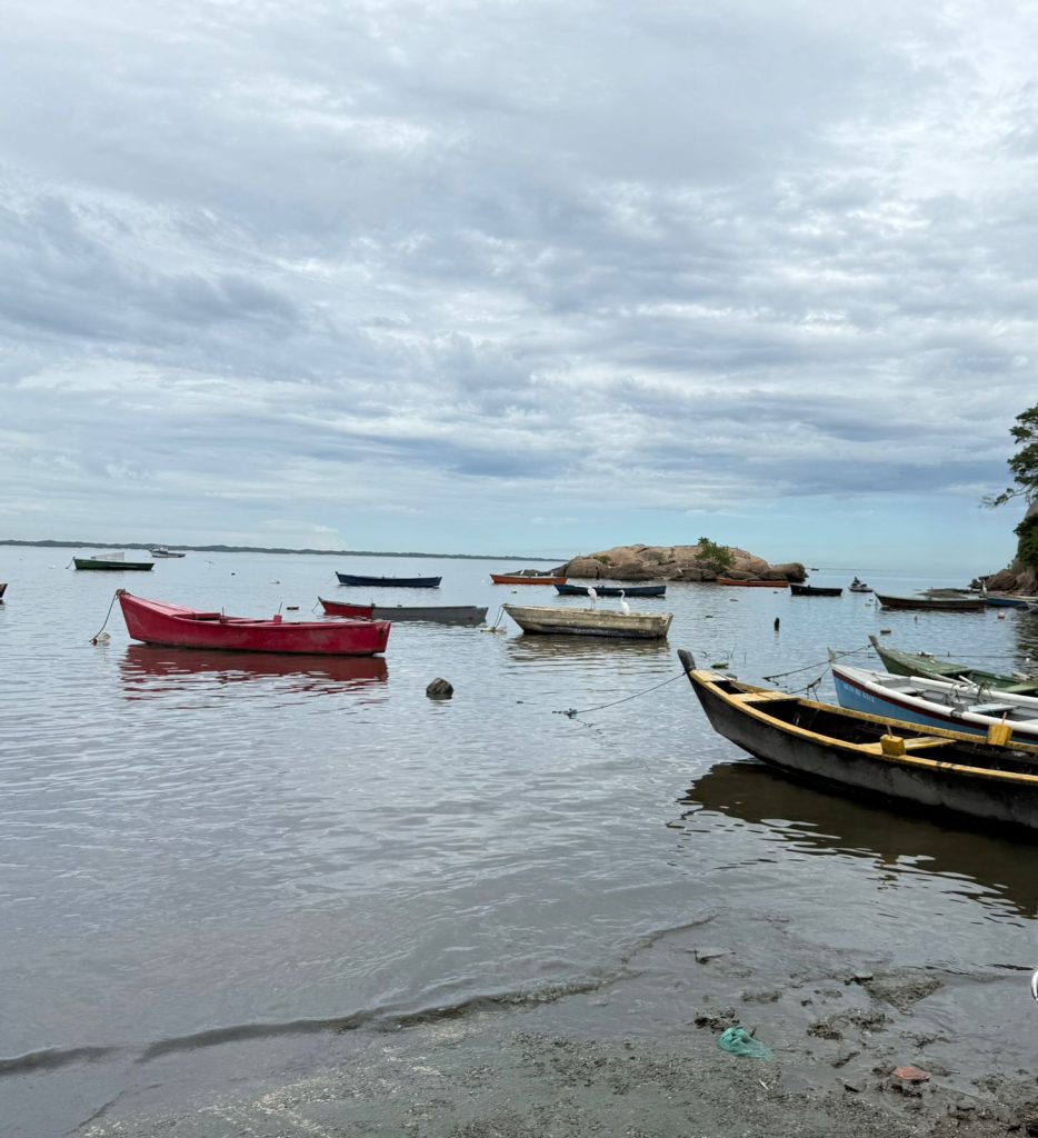 Alerj aprova fundo voltado à recuperação ambiental e social da Baía de Sepetiba 62 WhatsApp Image 2025 06 26 at 13.51.10 1 1