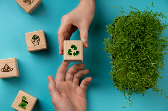 Sustentável, sim — mas até que ponto? O paradoxo do consumo consciente 62 image 8