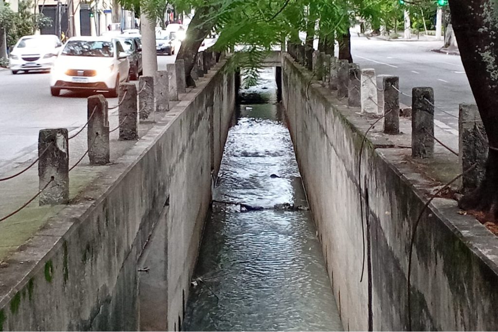 Andaraí: bairro carioca tenta resistir à invisibilidade e ao apagamento 63 Andaraí: bairro carioca tenta resistir à invisibilidade e ao apagamento