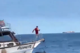 Baleia jubarte é atropelada por barco em Arraial