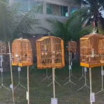 Polícia prende 20 em campeonato ilegal de canto de pássaros em Nova Iguaçu
