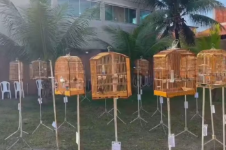 Polícia prende 20 em campeonato ilegal de canto de pássaros em Nova Iguaçu