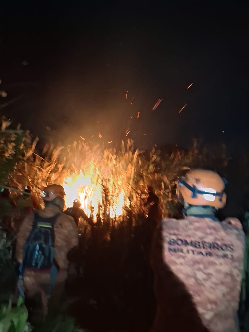 Incêndio atinge área de mata em Vargem Grande; ação dos bombeiros durou 9 horas