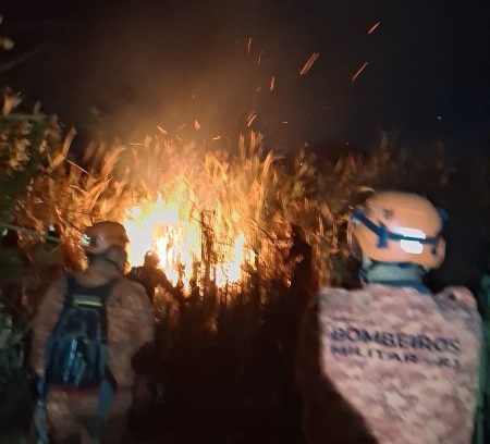 Incêndio atinge área de mata em Vargem Grande; ação dos bombeiros durou 9 horas