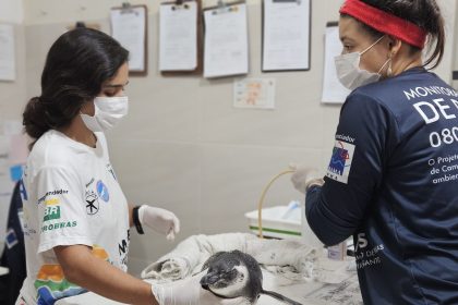 Instituto BW realiza o primeiro resgate de Pinguim-de-Magalhães vivo da temporada 2025