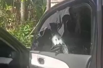 Carro usado em ataque contra bicheiro Vinicius Drummond é encontrado com marcas de tiros