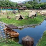 BioParque confirma gripe aviária como causa da morte de nove galinhas-d’angola