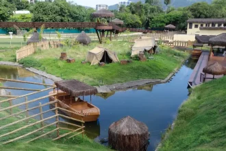 BioParque confirma gripe aviária como causa da morte de nove galinhas-d’angola
