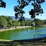 Quinta da Boa Vista recebe mutirão de casamentos comunitários neste sábado