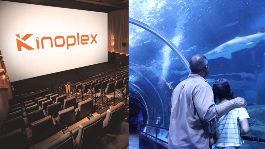 Bora lá, pai: rolé no Rio tem chope grátis no Brewteco, desconto no AquaRio e cinema mais barato