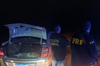 PRF e Polícia Civil apreendem 90 aves silvestres dentro de um porta-malas