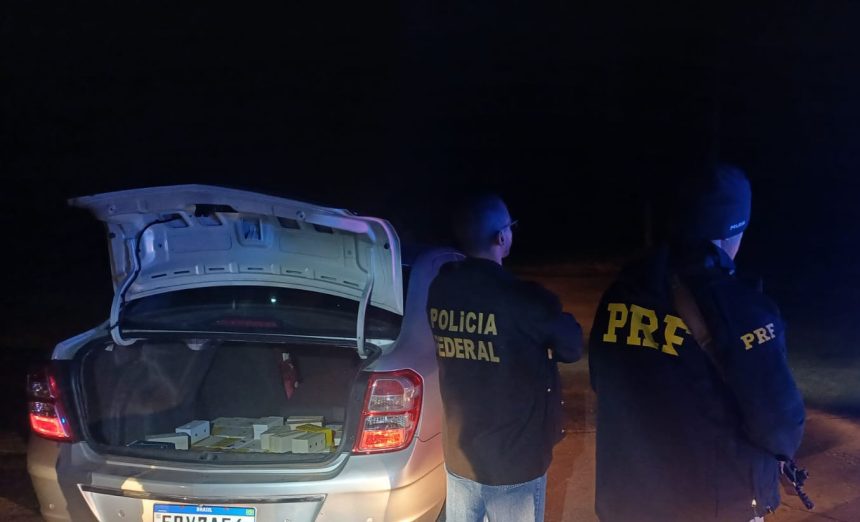 PRF e Polícia Civil apreendem 90 aves silvestres dentro de um porta-malas