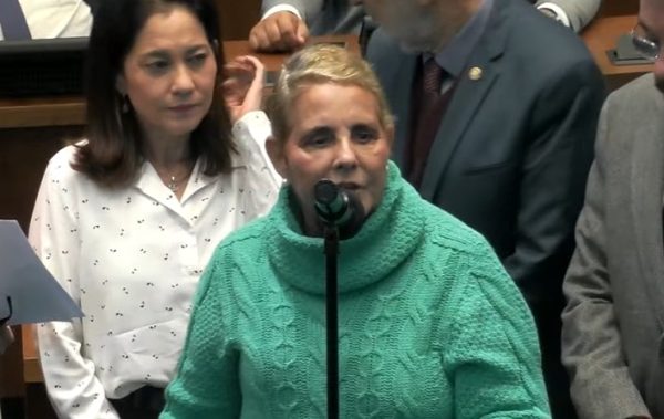 Lucinha volta à Alerj, em meio a tratamento contra o câncer