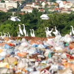 Estado 'lava as mãos' e diz que lixões ativos no Rio são de responsabilidade dos municípios