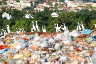 Estado 'lava as mãos' e diz que lixões ativos no Rio são de responsabilidade dos municípios