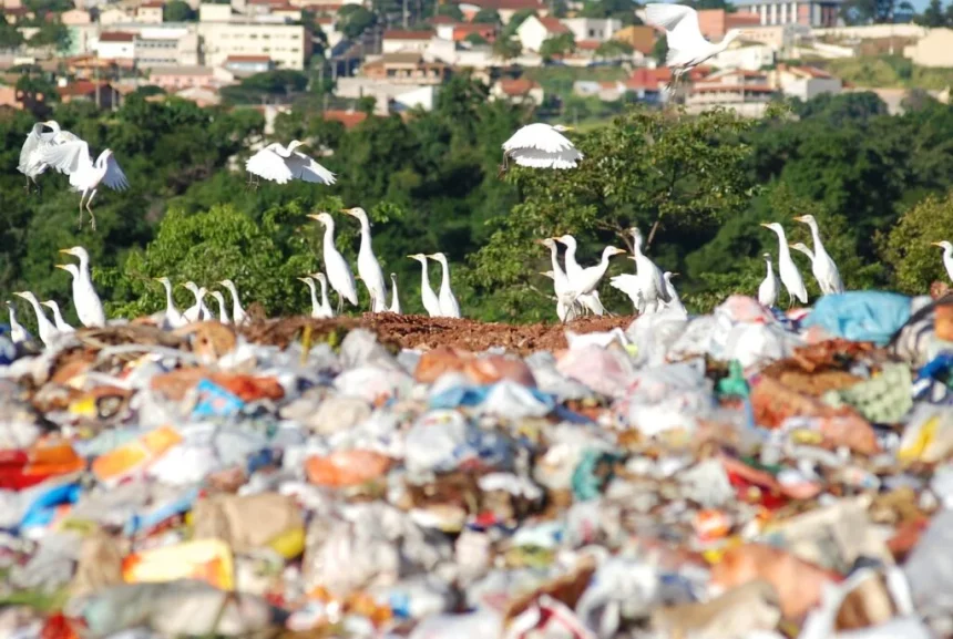Estado 'lava as mãos' e diz que lixões ativos no Rio são de responsabilidade dos municípios