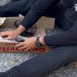 Mulher é flagrada jogando filhotes de gato em rio no Engenho Novo; veja o vídeo