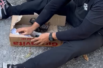 Mulher é flagrada jogando filhotes de gato em rio no Engenho Novo; veja o vídeo