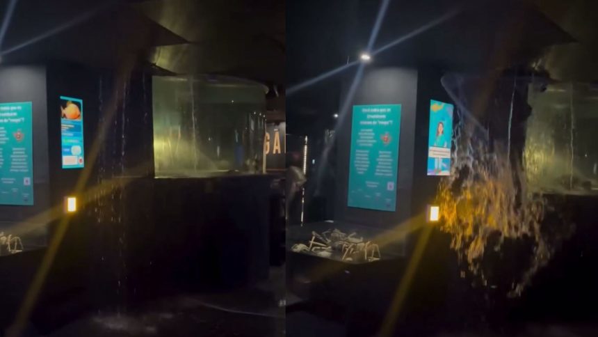 Vazamento de tanque no AquaRio assusta visitantes; veja o vídeo