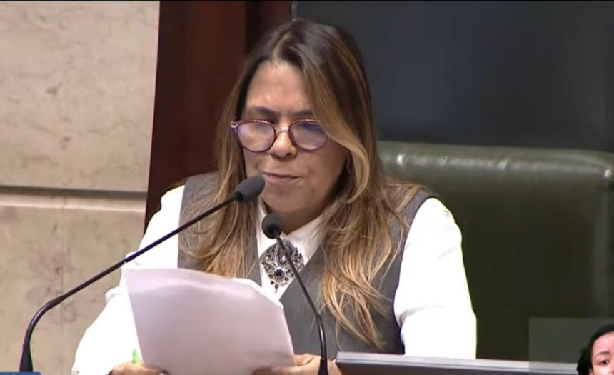 Tânia Bastos (Republicanos) comanda a sessão que derrubou cinco vetos, mas manteve, para os idosos, a obrigatoriedade de apresentação do cartão Jaé nos transportes municipais