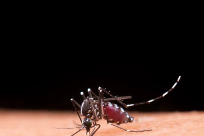 Câmara do Rio vota, nesta terça, projeto que prevê a distribuição de repelentes em escolas e unidades de saúde: ação pretende combater doenças como as causadas pelo mosquito Aedes aegypti