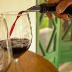 Lei prevê divulgação em aeroportos para incentivar turismo focado em vinícolas da Região Serrana