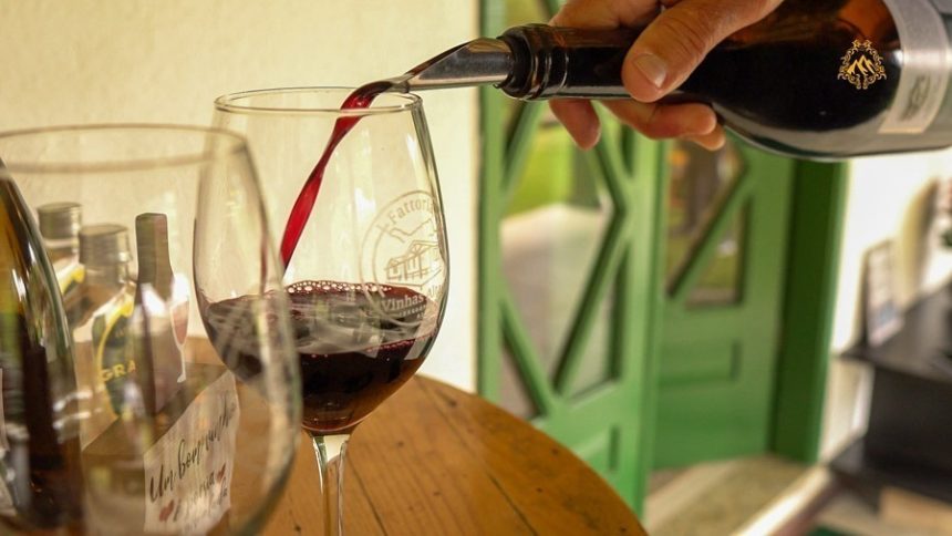 Lei prevê divulgação em aeroportos para incentivar turismo focado em vinícolas da Região Serrana