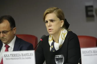 Ana Tereza Basilio, presidente da OAB-RJ